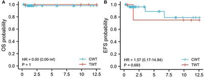 Teratoid Wilms Tumor and Classical Wilms Tumor: A Retrospective 10-Year Single-Center Study and Literature Review